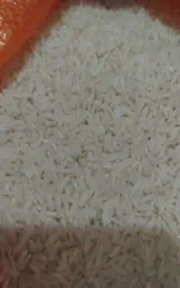 برنج هاشمی تازه