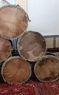 طبل دری سالم