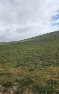 معدن سنگ لاشه