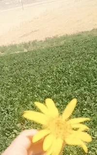 سرکارگر هستم