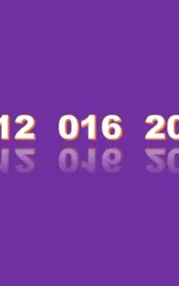 09120162008 رند