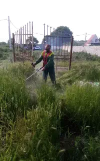 علفتراشی باغ و زمین کشاورزی