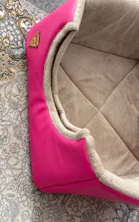 میل گربه و سگ