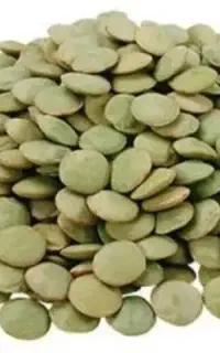 عدس