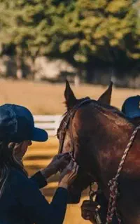 آموزش سوارکاری توسط مربی حرفه خانم