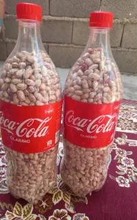 لوبیا چیتی