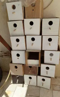 لونه مرغ عشق وکانال کولر