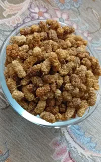 آنلاین شاپ الماس