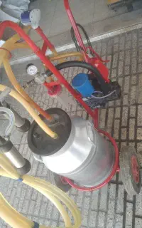 شیردوش گاو