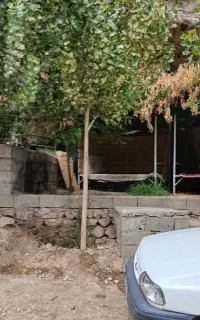 مغازه