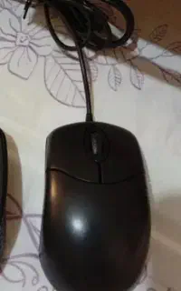 موس اصل