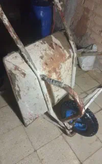 فرغون و۲عدد کلنگ