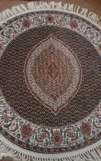پادری ماهی یک در یک کاملاً سالم و تمیز