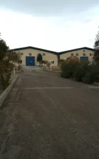 کارگر خانم
