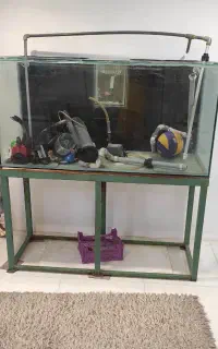 اکواریوم اب شو