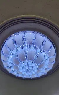 لووستر شیک