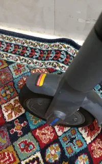 اسکوتر شیامی