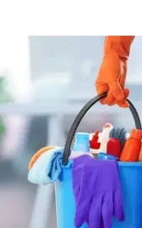 یک خانم جهت نظافت منزل