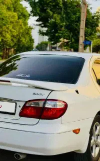 ماکسیما درجه یک