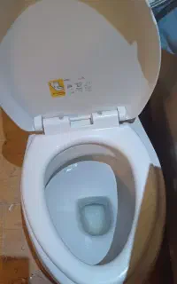 توالت فرنگی