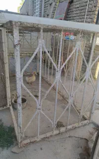 قفس