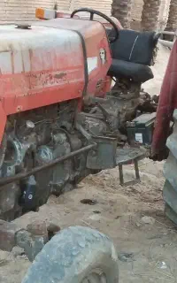 شادگان