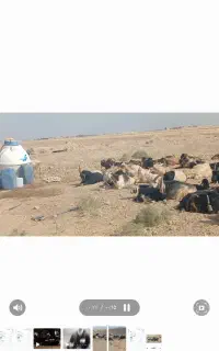 فروشی