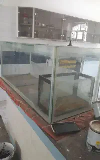 اکواریوم