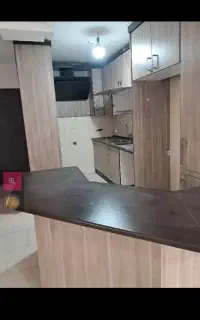 خانم جهت امور منزل