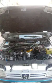 پژو 405 دوگانه کارخانه