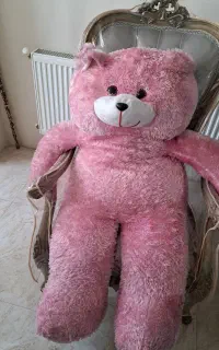 خرس بزرگ