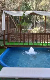 آموزش آواز، پیانو و ارگ