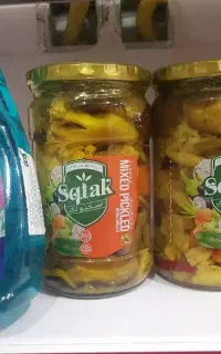 شوینده شیشه پاکن