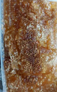عسل با موم و بدون موم طبیعی درجه یک درمانی