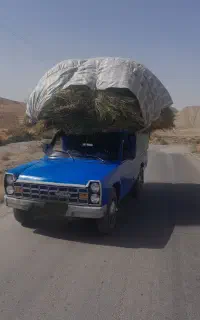 یونجه  سبیس   بیده