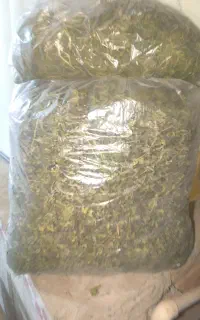 نعنا خشک کرده درشت