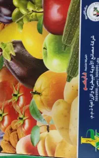 استخدام همکار خانم