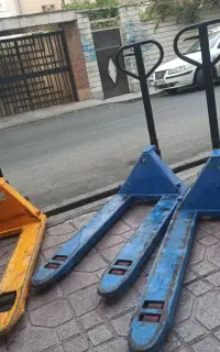 جک پالت سالم
