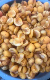 هسته زردالو تلخ و شیرین