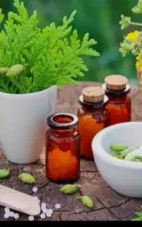 روغن سیاهدانه و کدو