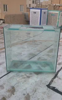 اکواریوم خمیده وارداتی