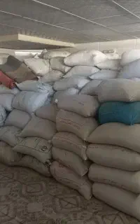 جو محلی با کیفیت کازرون