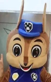 اجاره تن پوش عروسکی