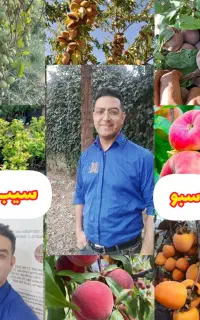 بزرگترین مرکز پخش کودهای کامل غیر شیمیایی