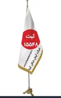 نیروی خانم برای نظافت منازل