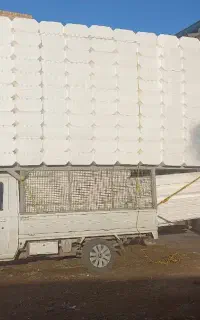 وانت هیوسو