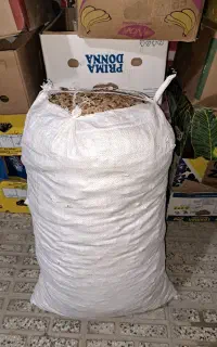نان خشک