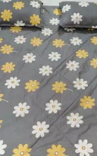 دو تا رو تختی در نو دو رو
