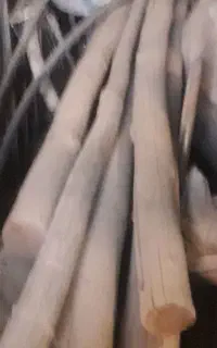چوب