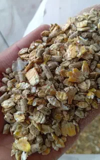 خوراک اقبال جام